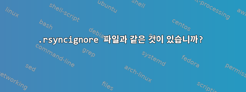 .rsyncignore 파일과 같은 것이 있습니까?