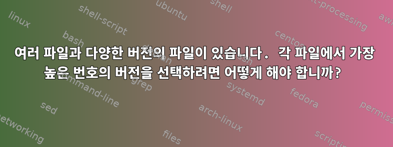 여러 파일과 다양한 버전의 파일이 있습니다. 각 파일에서 가장 높은 번호의 버전을 선택하려면 어떻게 해야 합니까?