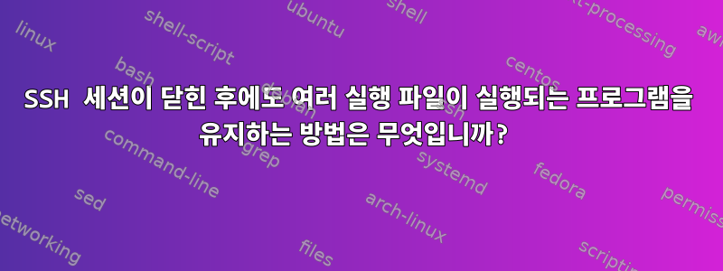 SSH 세션이 닫힌 후에도 여러 실행 파일이 실행되는 프로그램을 유지하는 방법은 무엇입니까?