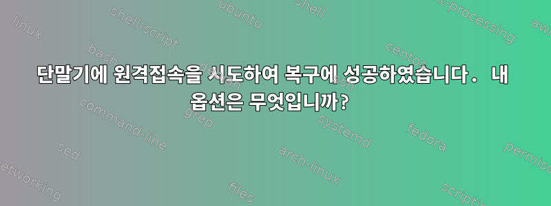 단말기에 원격접속을 시도하여 복구에 성공하였습니다. 내 옵션은 무엇입니까?