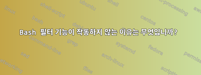 Bash 필터 기능이 작동하지 않는 이유는 무엇입니까?