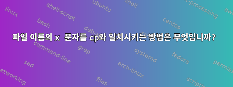 파일 이름의 x 문자를 cp와 일치시키는 방법은 무엇입니까?