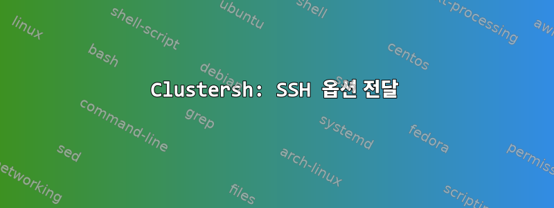 Clustersh: SSH 옵션 전달