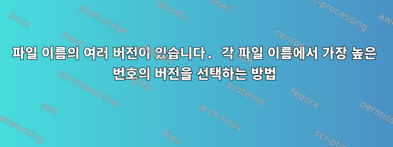 파일 이름의 여러 버전이 있습니다. 각 파일 이름에서 가장 높은 번호의 버전을 선택하는 방법