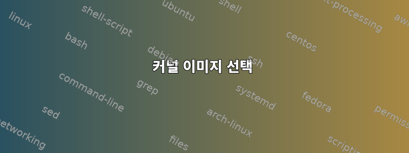 커널 이미지 선택