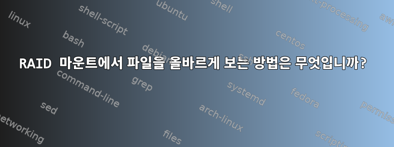 RAID 마운트에서 파일을 올바르게 보는 방법은 무엇입니까?