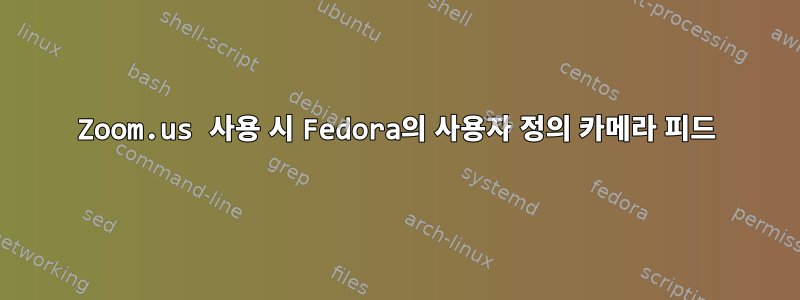 Zoom.us 사용 시 Fedora의 사용자 정의 카메라 피드