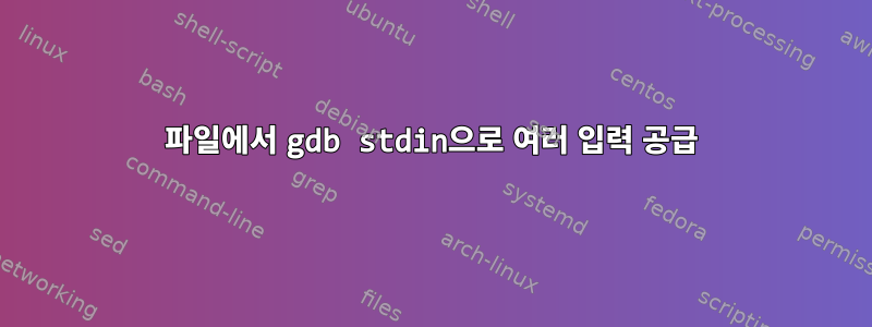 파일에서 gdb stdin으로 여러 입력 공급