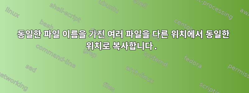 동일한 파일 이름을 가진 여러 파일을 다른 위치에서 동일한 위치로 복사합니다.