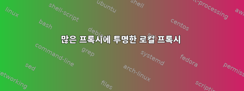 많은 프록시에 투명한 로컬 프록시