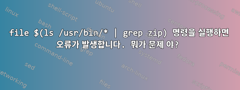 file $(ls /usr/bin/* | grep zip) 명령을 실행하면 오류가 발생합니다. 뭐가 문제 야?