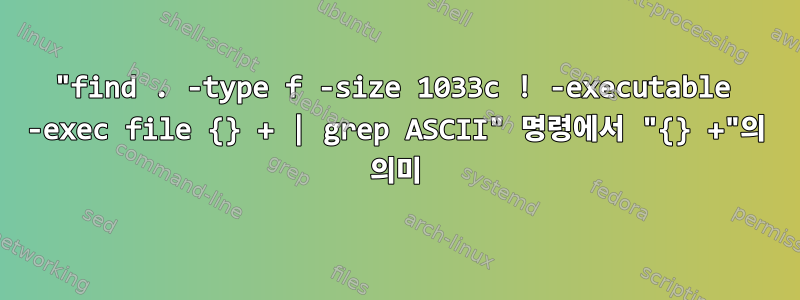 "find . -type f -size 1033c ! -executable -exec file {} + | grep ASCII" 명령에서 "{} +"의 의미