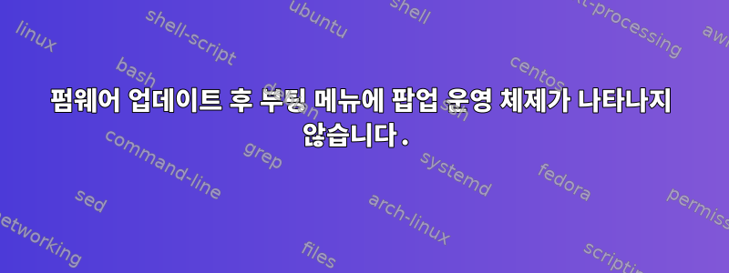 펌웨어 업데이트 후 부팅 메뉴에 팝업 운영 체제가 나타나지 않습니다.