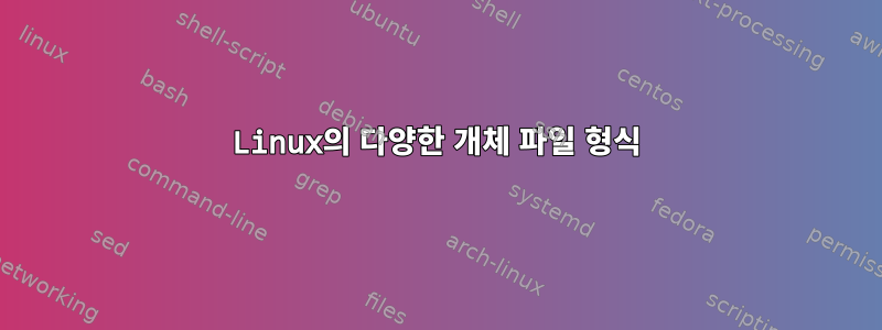 Linux의 다양한 개체 파일 형식