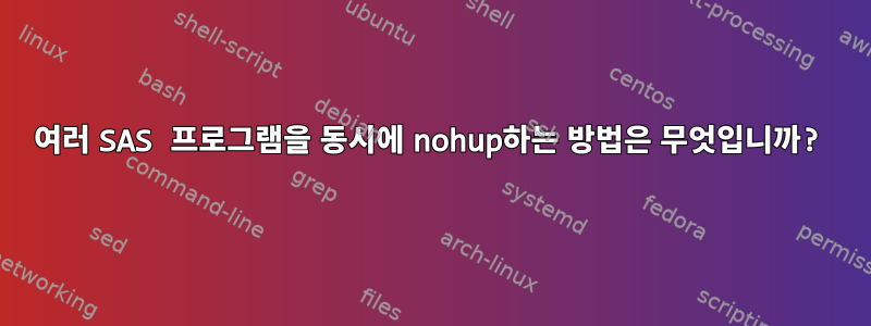 여러 SAS 프로그램을 동시에 nohup하는 방법은 무엇입니까?