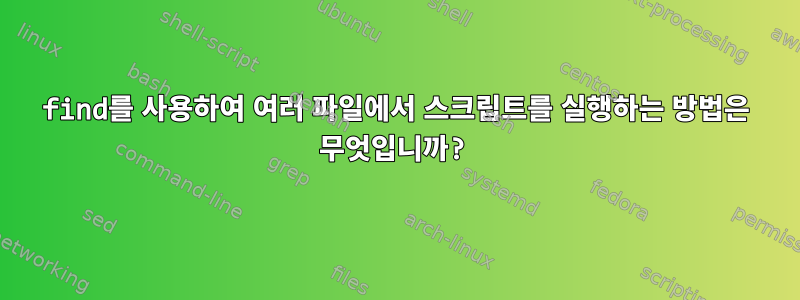 find를 사용하여 여러 파일에서 스크립트를 실행하는 방법은 무엇입니까?