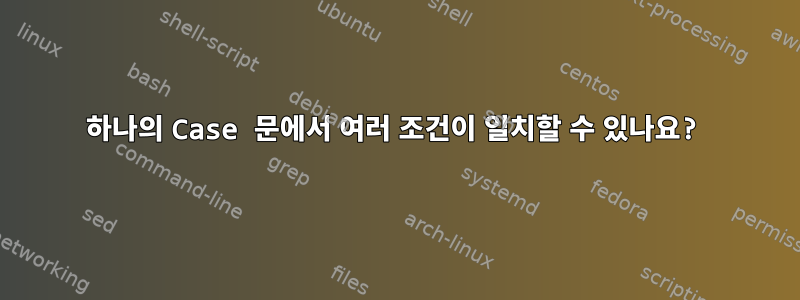 하나의 Case 문에서 여러 조건이 일치할 수 있나요?