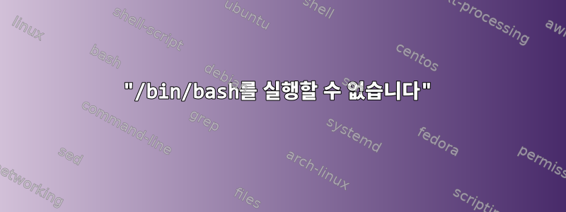 "/bin/bash를 실행할 수 없습니다"