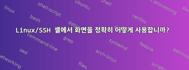 Linux/SSH 셸에서 화면을 정확히 어떻게 사용합니까?