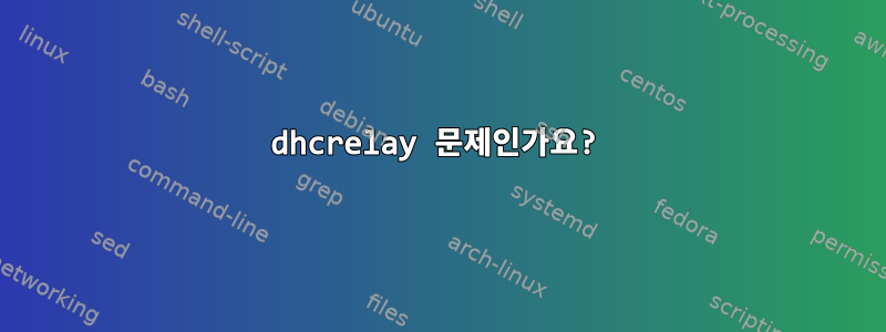 dhcrelay 문제인가요?