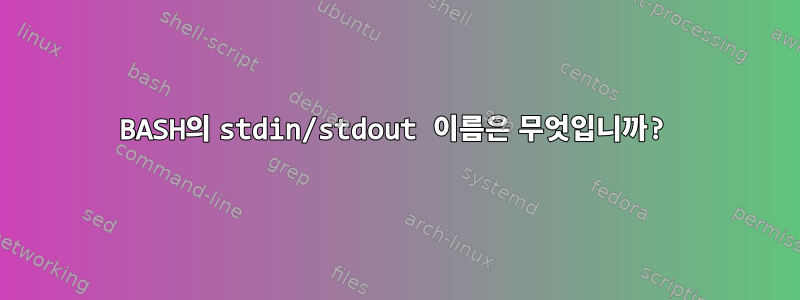 BASH의 stdin/stdout 이름은 무엇입니까?