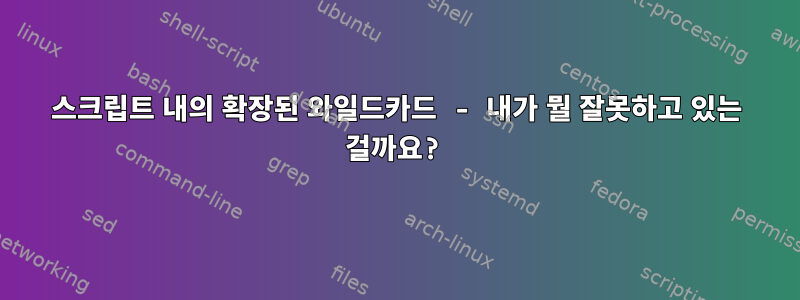 스크립트 내의 확장된 와일드카드 - 내가 뭘 잘못하고 있는 걸까요?