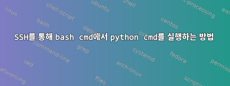 SSH를 통해 bash cmd에서 python cmd를 실행하는 방법