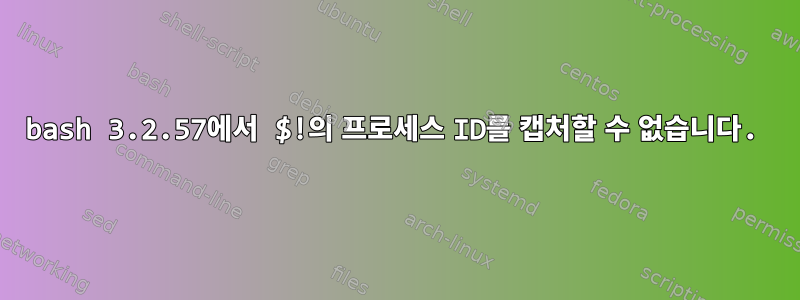 bash 3.2.57에서 $!의 프로세스 ID를 캡처할 수 없습니다.