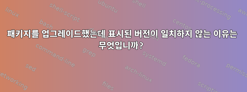 패키지를 업그레이드했는데 표시된 버전이 일치하지 않는 이유는 무엇입니까?