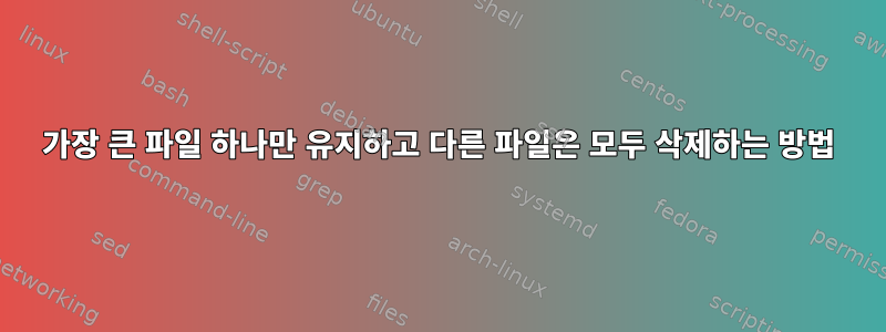 가장 큰 파일 하나만 유지하고 다른 파일은 모두 삭제하는 방법