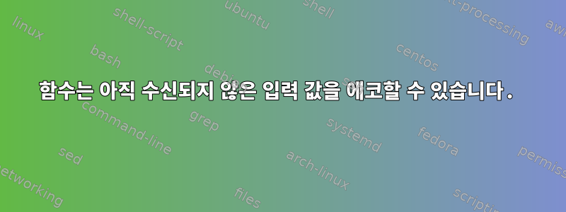 함수는 아직 수신되지 않은 입력 값을 에코할 수 있습니다.