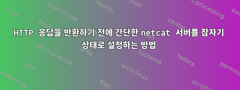 HTTP 응답을 반환하기 전에 간단한 netcat 서버를 잠자기 상태로 설정하는 방법