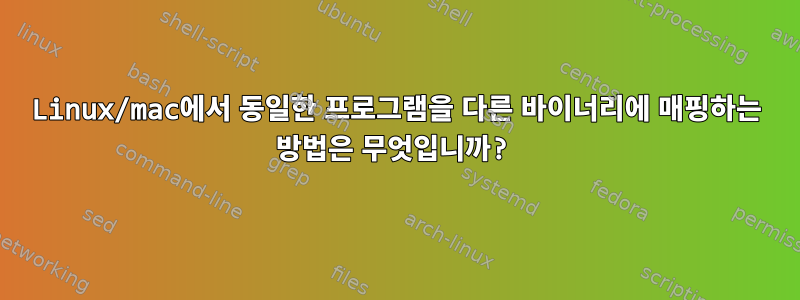 Linux/mac에서 동일한 프로그램을 다른 바이너리에 매핑하는 방법은 무엇입니까?