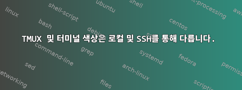 TMUX 및 터미널 색상은 로컬 및 SSH를 통해 다릅니다.