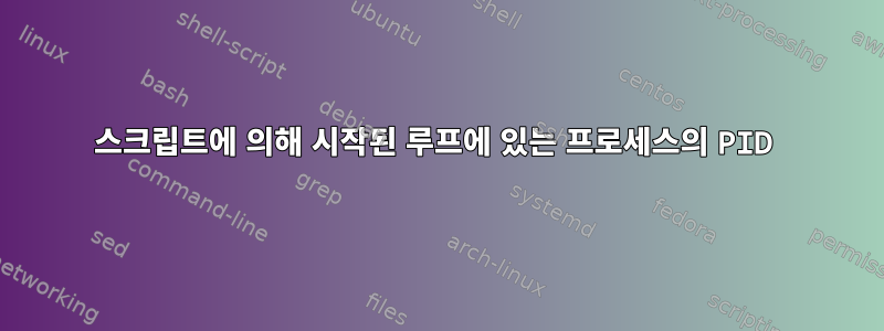 스크립트에 의해 시작된 루프에 있는 프로세스의 PID