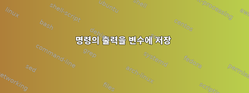 명령의 출력을 변수에 저장