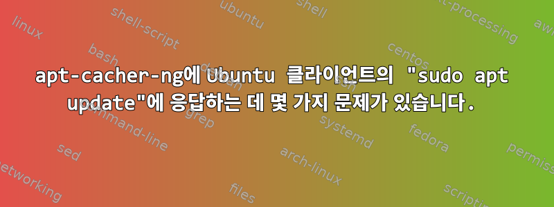 apt-cacher-ng에 Ubuntu 클라이언트의 "sudo apt update"에 응답하는 데 몇 가지 문제가 있습니다.