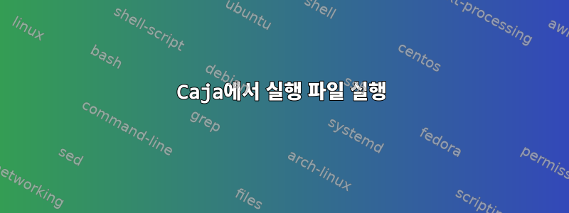 Caja에서 실행 파일 실행