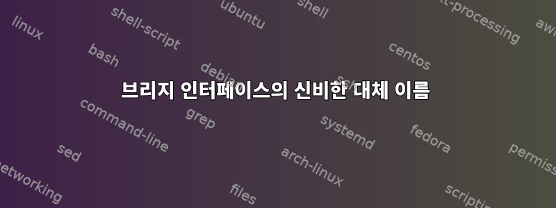 브리지 인터페이스의 신비한 대체 이름