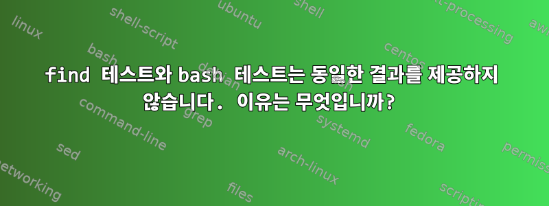 find 테스트와 bash 테스트는 동일한 결과를 제공하지 않습니다. 이유는 무엇입니까?