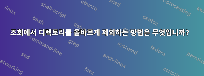 조회에서 디렉토리를 올바르게 제외하는 방법은 무엇입니까?