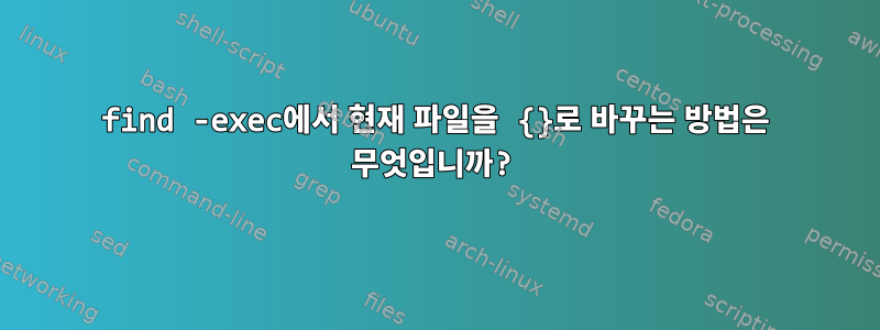 find -exec에서 현재 파일을 {}로 바꾸는 방법은 무엇입니까?