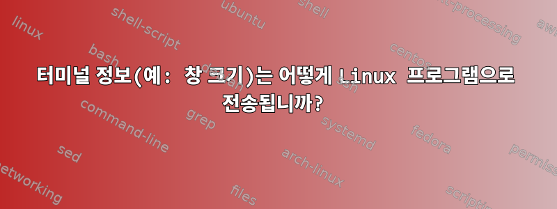 터미널 정보(예: 창 크기)는 어떻게 Linux 프로그램으로 전송됩니까?