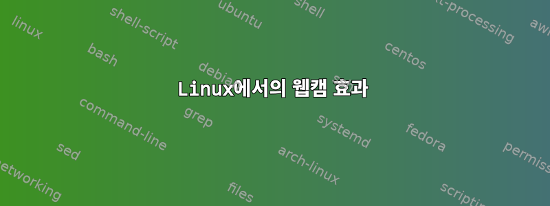 Linux에서의 웹캠 효과