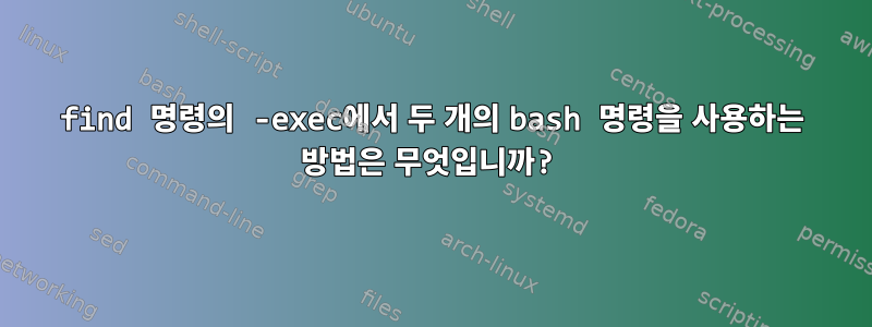 find 명령의 -exec에서 두 개의 bash 명령을 사용하는 방법은 무엇입니까?