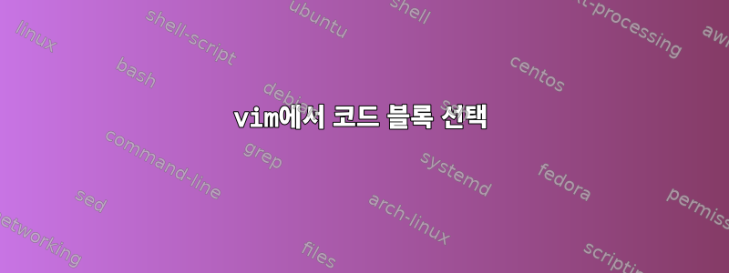 vim에서 코드 블록 선택