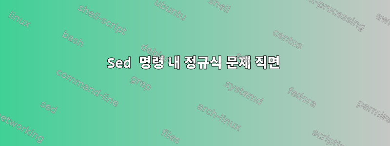 Sed 명령 내 정규식 문제 직면