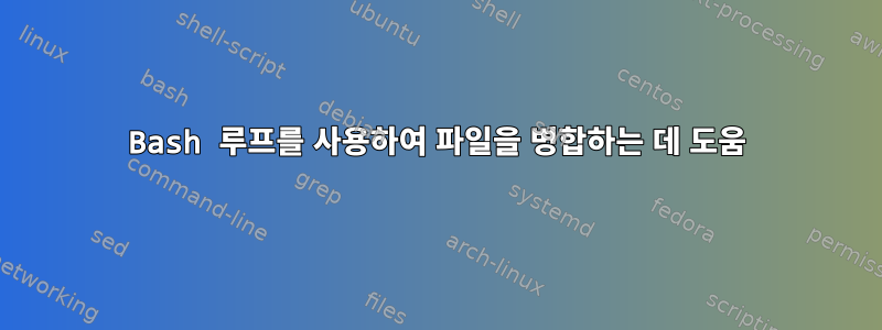 Bash 루프를 사용하여 파일을 병합하는 데 도움