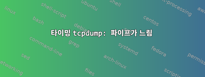 타이밍 tcpdump: 파이프가 느림