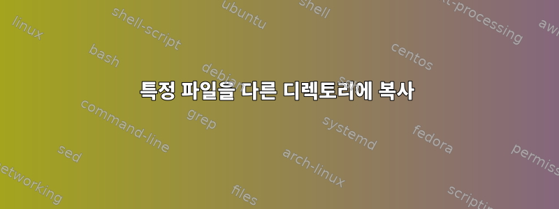 특정 파일을 다른 디렉토리에 복사